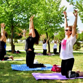 MUS_yoga (2)