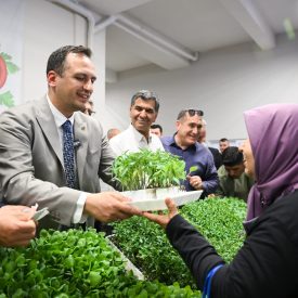 Ureticiye fide dağitimi (1)