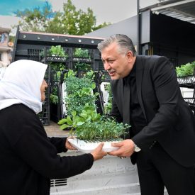 Ureticiye fide dağitimi (2)
