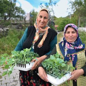 Ureticiye fide dağitimi (3)